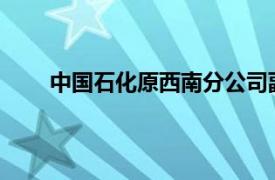 中国石化原西南分公司副经理郑国生接受审查调查