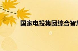 国家电投集团综合智慧能源有限公司揭牌成立