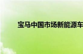 宝马中国市场新能源车将在本月累计达到40万辆