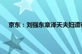 京东：刘强东章泽天夫妇遭有组织造谣抹黑，警方正在侦办