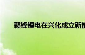 赣锋锂电在兴化成立新能源公司，注册资本5000万