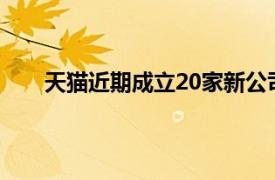 天猫近期成立20家新公司，涉家居 电子商务等领域