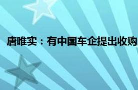 唐唯实：有中国车企提出收购Stellantis旗下品牌，但我拒绝了