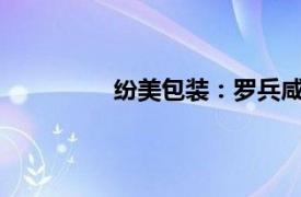 纷美包装：罗兵咸永道辞任公司核数师