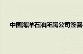 中国海洋石油所属公司签署4个巴西海上勘探区块石油合同