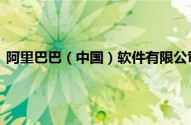 阿里巴巴（中国）软件有限公司法定代表人变更，王威接替陈立