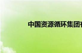 中国资源循环集团有限公司正式挂牌成立