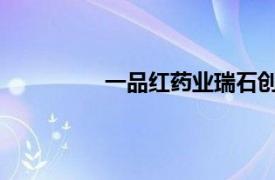 一品红药业瑞石创新原料药基地试投产