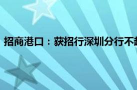 招商港口：获招行深圳分行不超3.89亿元贷款额度用于股票回购