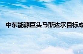 中东能源巨头马斯达尔目标成为全球最大可再生能源集团之一