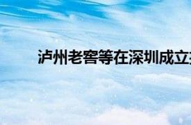 泸州老窖等在深圳成立投资合伙企业，出资额2亿