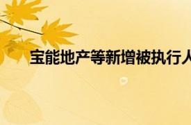 宝能地产等新增被执行人信息，执行标的32.93亿元