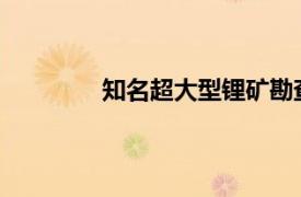 知名超大型锂矿勘查探矿权正式挂牌出让