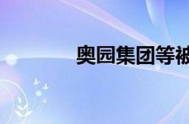 奥园集团等被强制执行2.2亿