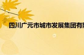 四川广元市城市发展集团有限公司董事韩治成接受审查调查