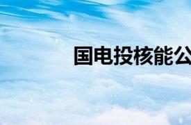 国电投核能公司增资至240亿