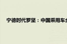 宁德时代罗坚：中国乘用车全面电动化将在23年内基本完成