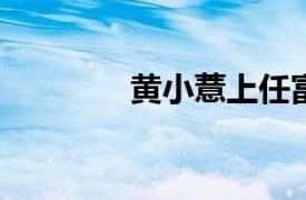 黄小薏上任富达基金董事长