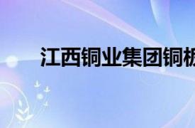 江西铜业集团铜板带公司增资至17亿