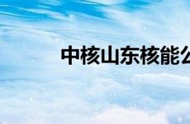 中核山东核能公司增资至25.7亿