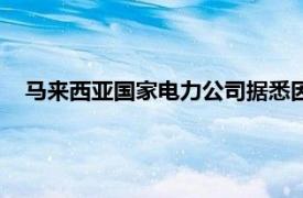 马来西亚国家电力公司据悉因比特币非法开采损失超1亿美元