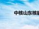 中核山东核能公司增资至25.7亿