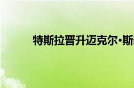 特斯拉晋升迈克尔·斯奈德为能源与充电副总裁