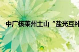 中广核莱州土山“盐光互补”项目首批300兆瓦并网发电