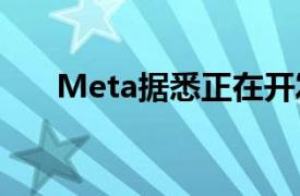 Meta据悉正在开发人工智能搜索引擎