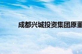 成都兴城投资集团原董事长任志能接受审查调查