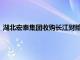 湖北宏泰集团收购长江财险股权案等获市场监管总局无条件批准