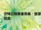 沙特公投基金总裁：资源及地理优势推动沙特在能源等关键领域投资