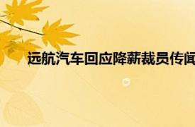 远航汽车回应降薪裁员传闻，称正在进行战略调整和重组