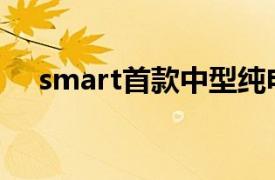 smart首款中型纯电SUV大定达4527台