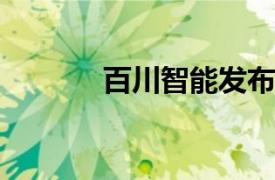 百川智能发布一站式解决方案