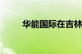 华能国际在吉林新设新兴能源公司