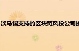 淡马锡支持的区块链风投公司据悉计划为新基金筹资多达1亿美元