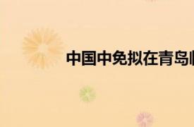 中国中免拟在青岛临空经济区建设免税城