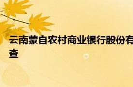 云南蒙自农村商业银行股份有限公司原党委书记 董事长曹继辉被查