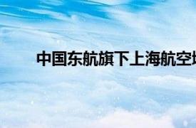 中国东航旗下上海航空增资至100亿元，增幅82%