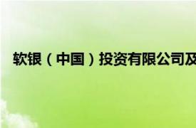 软银（中国）投资有限公司及其法定代表人徐有智被限制消费