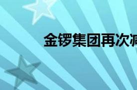 金锣集团再次减资至4.02亿美元