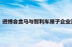 进博会盒马与智利车厘子企业签约，建成首个智利水果直采基地