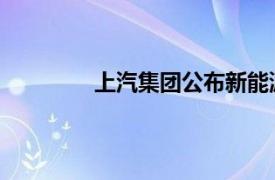 上汽集团公布新能源车边充电边放电专利