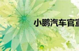 小鹏汽车官宣进入增程赛道