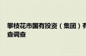 攀枝花市国有投资（集团）有限责任公司原董事长贺云海接受审查调查