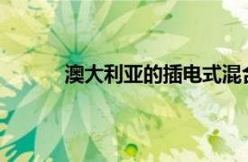 澳大利亚的插电式混合动力雷克萨斯SUV公司