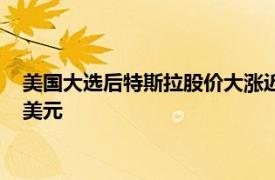 美国大选后特斯拉股价大涨近15%，马斯克身家单日增长209亿美元