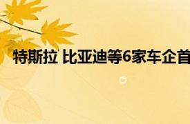 特斯拉 比亚迪等6家车企首批获得国家汽车隐私保护标识