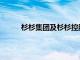 杉杉集团及杉杉控股所持49.95亿元股权被冻结